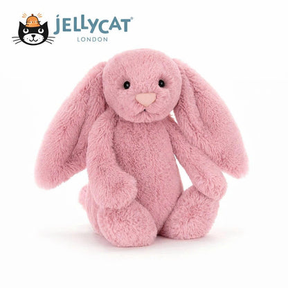 Jellycat Plush Collection | Bunny, Puppy, Pig, Dragon, Cakes, Bouquets & Gift-Ready Favorites